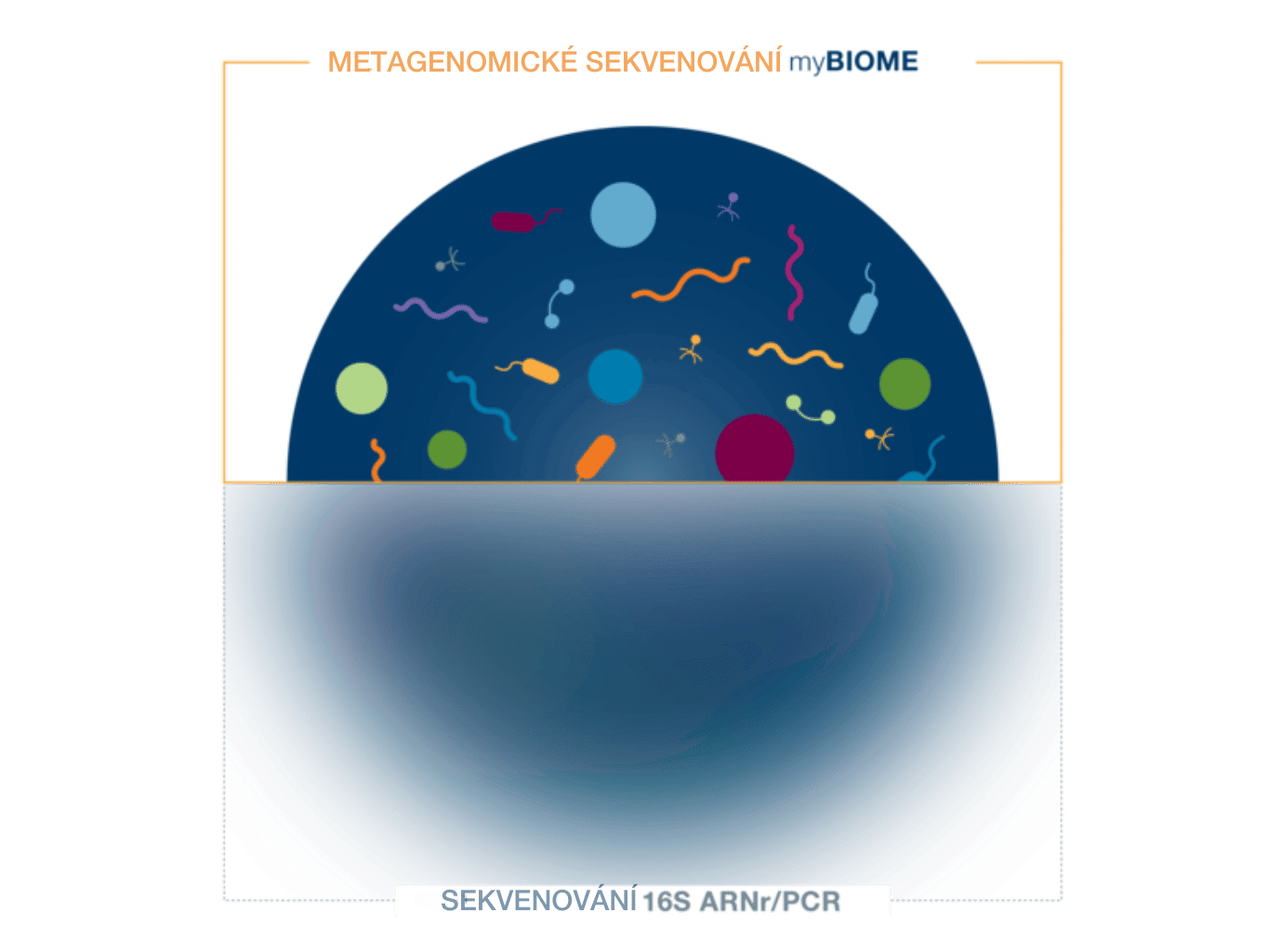 myBIOME metagenomické sekvenování